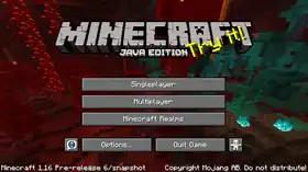 Java Edition 1.16 Pre-release 6.png: Infobox image for Minecraft 1.16 Pre-release 6 the version in Minecraft