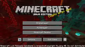 Java Edition 1.16 Release Candidate 1.png: Infobox image for Minecraft 1.16 Release Candidate 1 the version in Minecraft