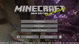 Java Edition 1.17.1 Release Candidate 2.png: Infobox image for Minecraft 1.17.1 Release Candidate 2 the version in Minecraft