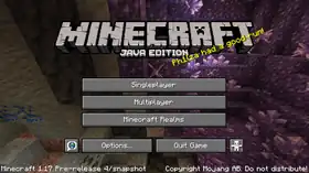 Java Edition 1.17 Pre-release 4.png: Infobox image for Minecraft 1.17 Pre-release 4 the version in Minecraft