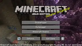 Java Edition 1.17 Release Candidate 2.png: Infobox image for Minecraft 1.17 Release Candidate 2 the version in Minecraft