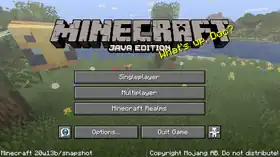 Java Edition 20w13b.png: Infobox image for Minecraft 20w13b the version in Minecraft
