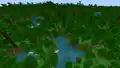 A jungle in Bedrock Edition before 1.18.