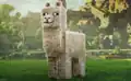 Llama