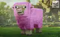 Pink sheep