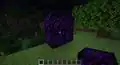 Crying obsidian in the overworld.