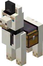 Lluna Associate (Chested).png: Infobox image for Lluna the character in Minecraft