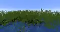 A mangrove swamp brought from 1.19.2 to 1.18.1. Note the total absence of mangrove logs, mangrove leaves and mangrove roots, features that didn't exist yet on these versions.