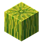 Melon (inventory) MCE.png: Infobox image for Melon the block in Minecraft