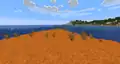 Beach in a badlands biome.