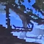 One of the only pictures of a mesh cave.