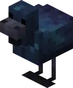 Midnight Chicken.png: Infobox image for Midnight Chicken the entity in Minecraft