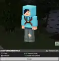 Dragon Slayer Skin in the Bedrock Menu.