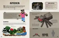 Pages 24-25, explaining spiders, featuring Efe.