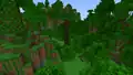 A modified jungle in Bedrock Edition.