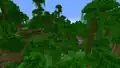 A modified jungle in Java Edition.