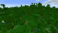 A modified jungle single biome world.