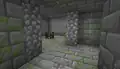 A skeleton monster room that generated in a stronghold