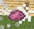 The Moolip's Spawn Egg - a single spawn egg that was in the game as an item, not a texture in the game files.