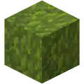 A moss block as it appears in Minecraft Dungeons.
