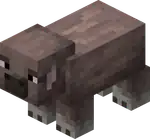 Mottled Pig.png: Infobox image for Mottled Pig the entity in Minecraft