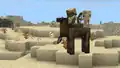 This is a screenshot of the new camel husk with its two riders – a husk and a parched!