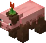 Muddy Pig.png: Infobox image for Muddy Pig the entity in Minecraft