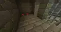 Red mushrooms growing in a stronghold cell.
