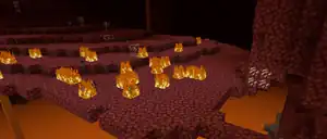 A burning field in the Nether.
