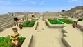 Announced New Villagers in MINECON Earth 2018 in desert.