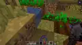 A block of water, which is not flowing because of a glitch, besides a village farm.
