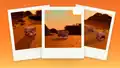 Three polaroid pictures on an orange background showing the armadillo in the desert at sunset