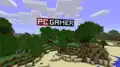 The giant "PC Gamer" logo, found across the lake from the starting area.