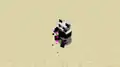 A panda eating a spyglass before Java Edition 24w45a. This resulted in missing texture particles being produced.[10]