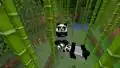 A group of pandas eating bamboo, shown at MINECON Earth 2018.