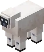 Patched Sheep.png: Infobox image for Patched Sheep the entity in Minecraft