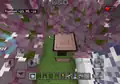 A player in Bedrock Edition grew a cherry tree and went inside of it.