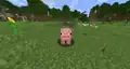 A pig facing the player