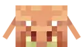 The face of a piglin (tier one).