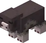 Pink Footed Pig Blink.png: Infobox image for Pink Footed Pig the entity in Minecraft