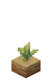 Pitcher Crop Age 1.png: Infobox image for Pitcher Pod the block in Minecraft