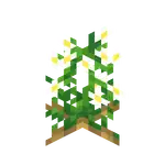 Potato flower.png: Infobox image for Potato flower the block in Minecraft