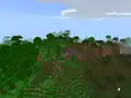 A modified jungle edge in Java Edition.
