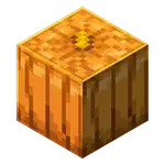 Pumpkin (inventory) MCE.png: Infobox image for Pumpkin the block in Minecraft