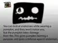 The original suggestion image for pumpkins protecting from endermen.