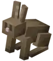 Rabbit (Dungeons).png: Infobox image for Rabbit the dungeons entity in Minecraft