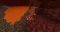 A red mushroom that spawned naturally on a magma block in the Nether.