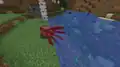 A squid taking suffocation damage from being out of the water.