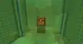The chest at the top of Slime Bounce.