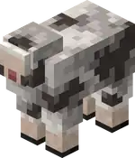 Rocky Sheep Blink.png: Infobox image for Rocky Sheep the entity in Minecraft